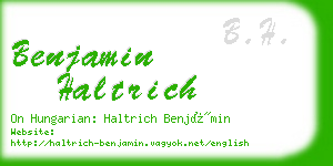 benjamin haltrich business card